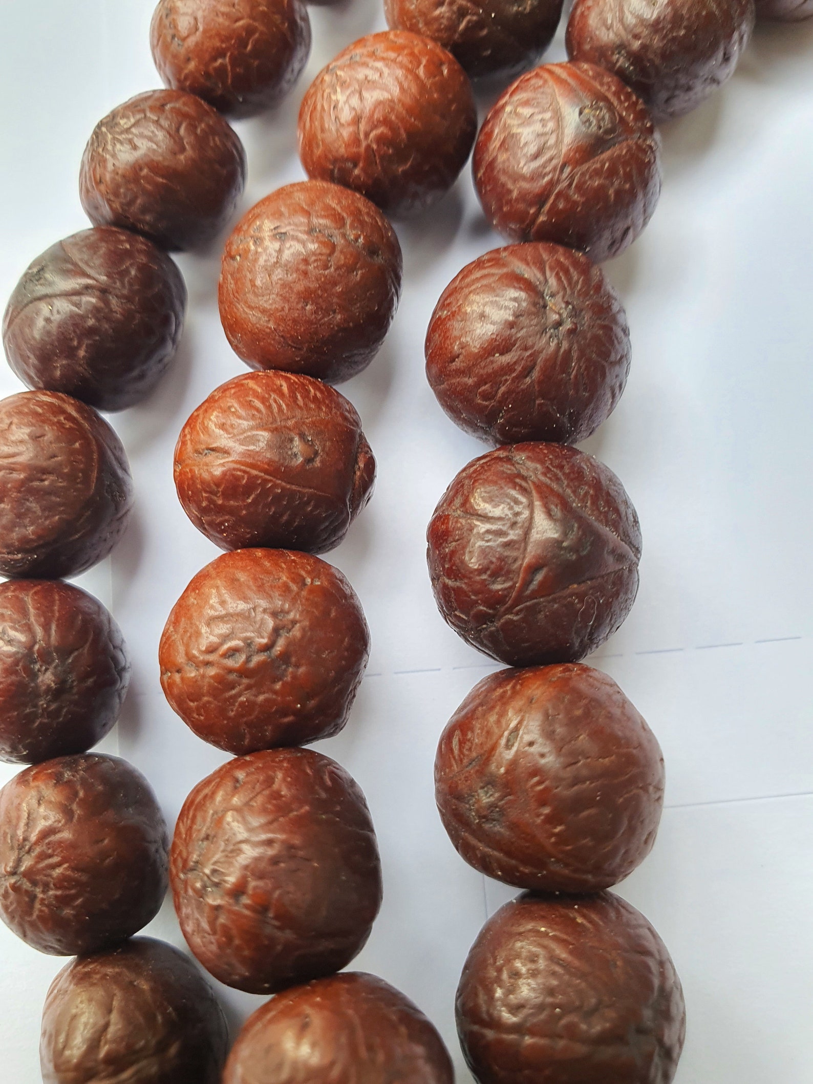 Rare Dark Three Eye Bodhi seed Bodhiseed Buddhachitta Buddha Etsy