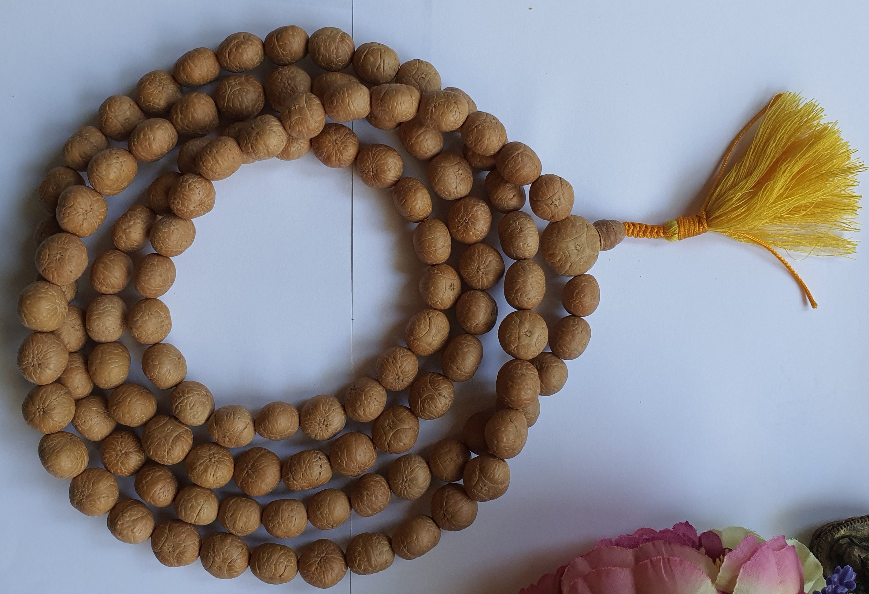 Rare Four Eye Bodhi Seed Bodhiseed Buddhachitta Collectable Etsy