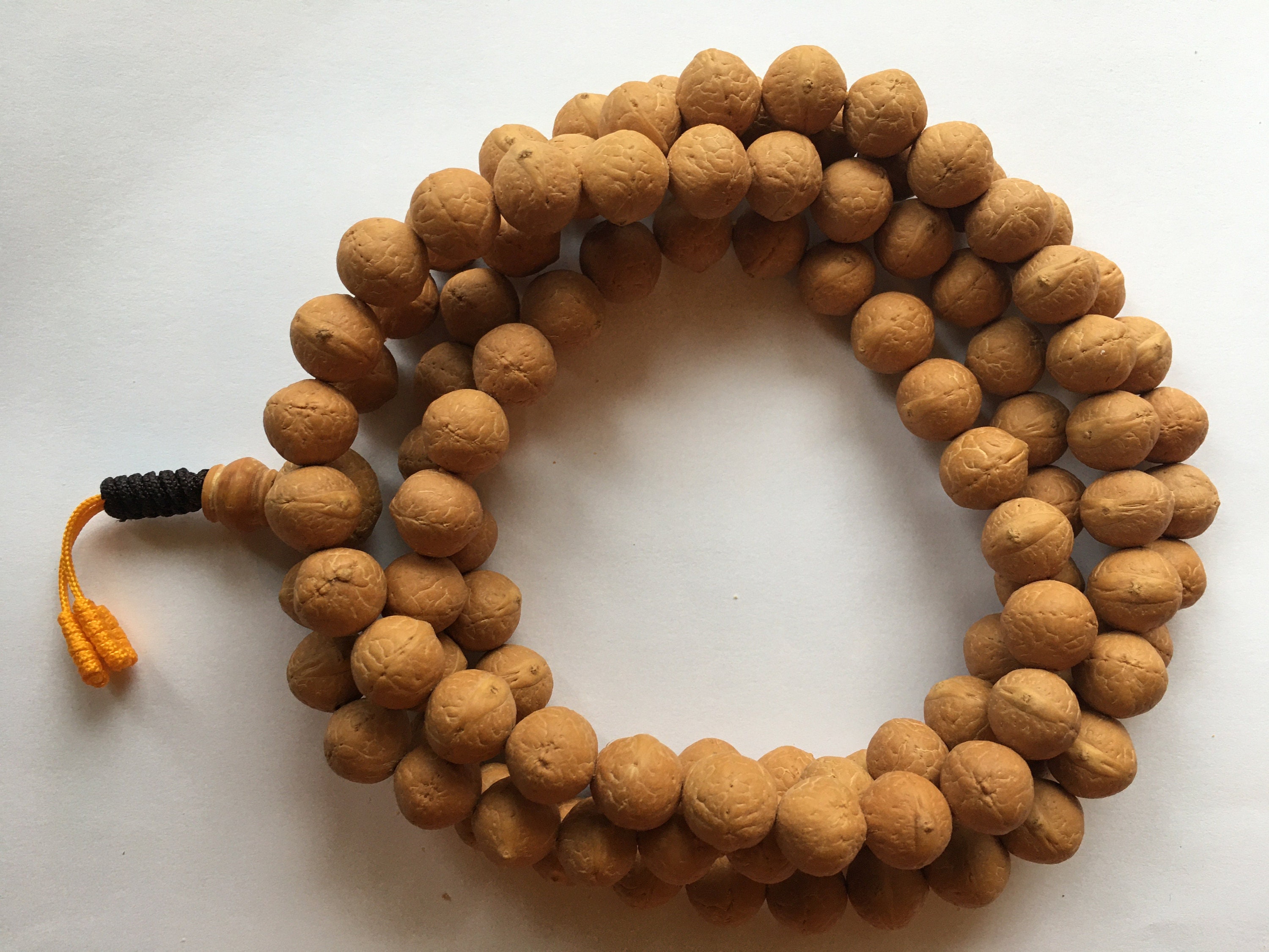 1112 mm Bodhi seed Bodhiseed Buddhachitta Buddha chitta Etsy