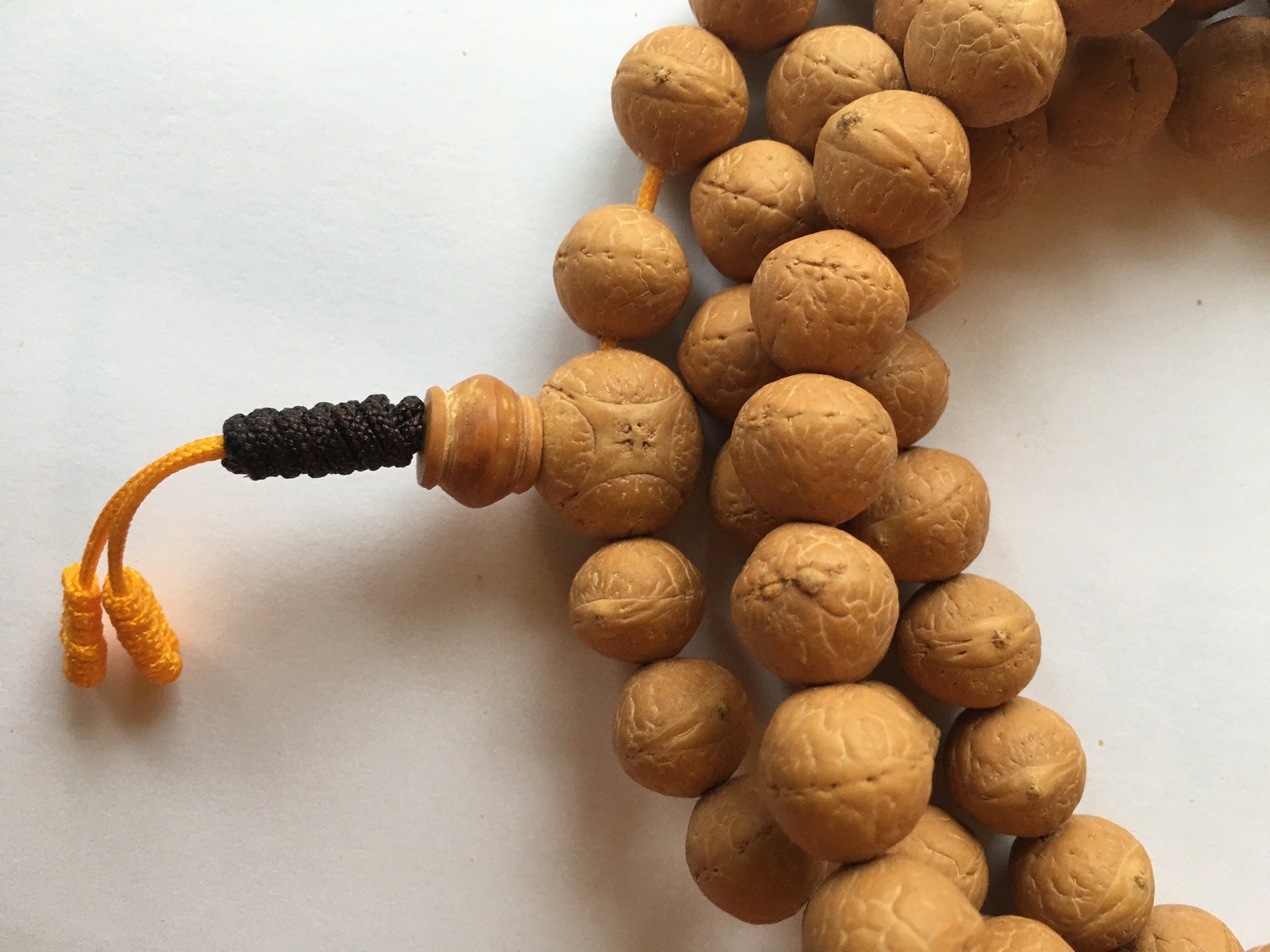 1112 mm Bodhi seed Bodhiseed Buddhachitta Buddha chitta Etsy