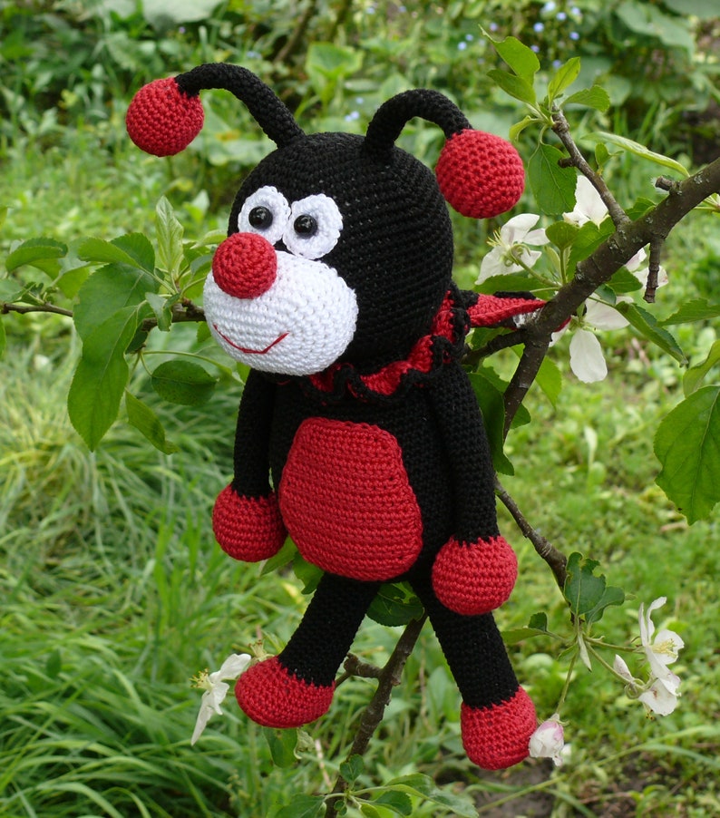 Comment Dit On Coccinelle En Anglais