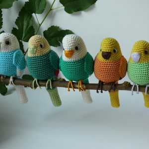PATTERN: amigurumi  budgerigar- parrot crochet pattern in English- Instant download- amigurumi bird PDF