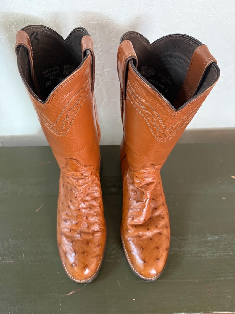 May include: A pair of brown leather cowboy boots with a textured pattern. The boots have a pointed toe and a tall shaft with decorative stitching. The interior of the boots is a darker brown color.