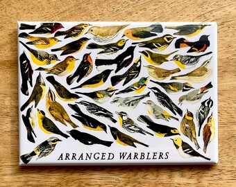 Warblers, Arranged funny bird magnet