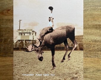 Vergennes Moose Rodeo Art Print, Vermont Funny Animal Humor