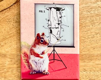 Squirrel Birdfeeder funny animal rectangle magnet