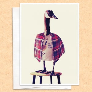 Carte Canada Goose, carte de voeux amusante, carte d'oiseau, carte d'amitié, carte de pensée pour vous, juste parce que, chouette rayée, toutes les occasions