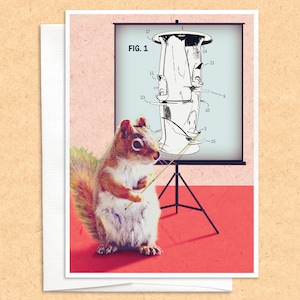 Funny Squirrel Birdfeeder Card: Backyard Birder Greeting