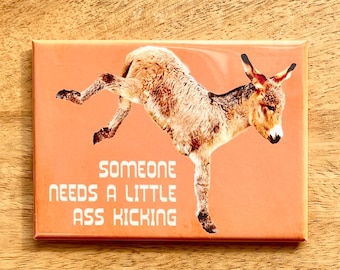 Ass Kicking funny donkey rectangle magnet
