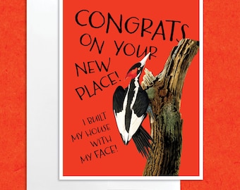 Woodpecker funny house warming card