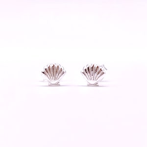 Silver Seashell Earrings, Small Seashell Stud Earrings