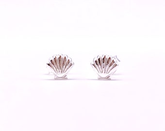 Silver Seashell Earrings, Small Seashell Stud Earrings