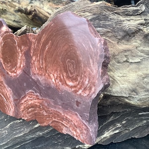 Puede incluir: Una pieza grande, plana e irregular de roca roja y blanca con un patrón de remolino. La roca está apoyada en un trozo de madera desgastada.