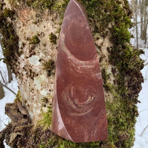 Puede incluir: Una punta de piedra pulida con rayas rojas y blancas y una parte superior puntiaguda. La piedra está sentada en un tronco de árbol cubierto de musgo.