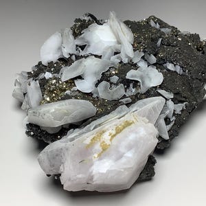 Könnte beinhalten: Ein Cluster aus weißen Barytkristallen auf einer Matrix aus dunkelgrauem und goldenem Pyrit. Die Barytkristalle sind durchscheinend und haben einen glasartigen Glanz. Der Pyrit ist metallisch und hat einen kubischen Kristallhabitus.