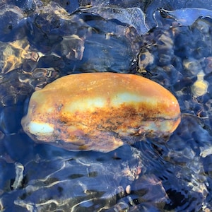 Siberian jade pellet (# 21)