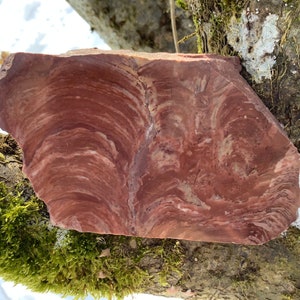 Puede incluir: Primer plano de una roca roja y blanca con bandas, con una superficie lisa y redondeada. La roca descansa sobre una rama de árbol cubierta de musgo.