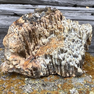 Könnte beinhalten: Ein großer, rauer, grauer und brauner Stein mit einer geschichteten, gestreiften Textur. Der Stein hat an einigen Stellen ein weißes, kristallines Aussehen.