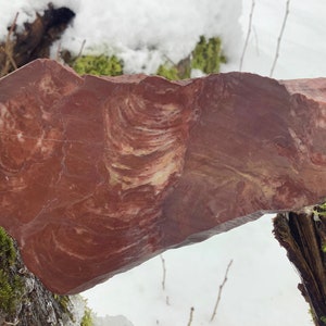 Puede incluir: Primer plano de una piedra grande, plana, roja y blanca con un patrón de remolino. La piedra está apoyada en una rama de árbol cubierta de musgo.
