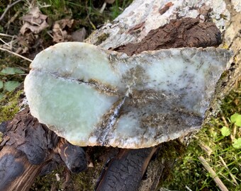 Dendritic White and Light Green Jade with Natural Crust and Polished Face – Unique Collector’s Stone – Natural Nephrite Specimen (# 147)