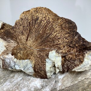 Astrophyllite--- Raw Natural Rough Stone