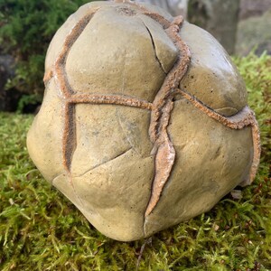 May include: A large, irregularly shaped, light brown rock with a network of raised, orange-brown lines. The rock is sitting on a bed of green moss.
