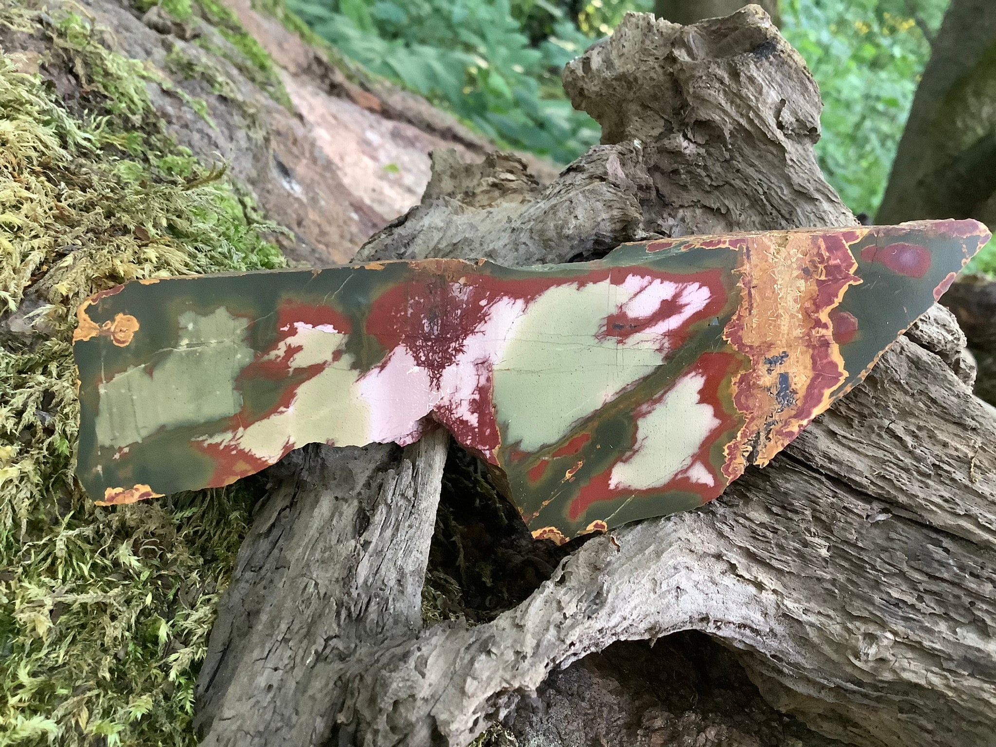 Heliotrope Jasper Freeform(#33 Unique Natural Stone For Healing, Decoration, & Collection