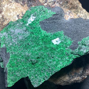 May include: A large, dark gray rock with a green, sparkly mineral covering most of the surface. There are two small, white, shiny crystals embedded in the rock.
