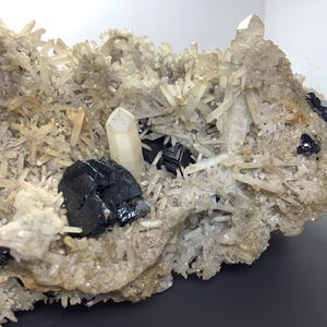 May include: A cluster of quartz crystals with black, shiny mineral formations. The quartz crystals are clear and pointed, while the black minerals have a metallic sheen. The overall color palette is neutral, with shades of white, gray, and black.