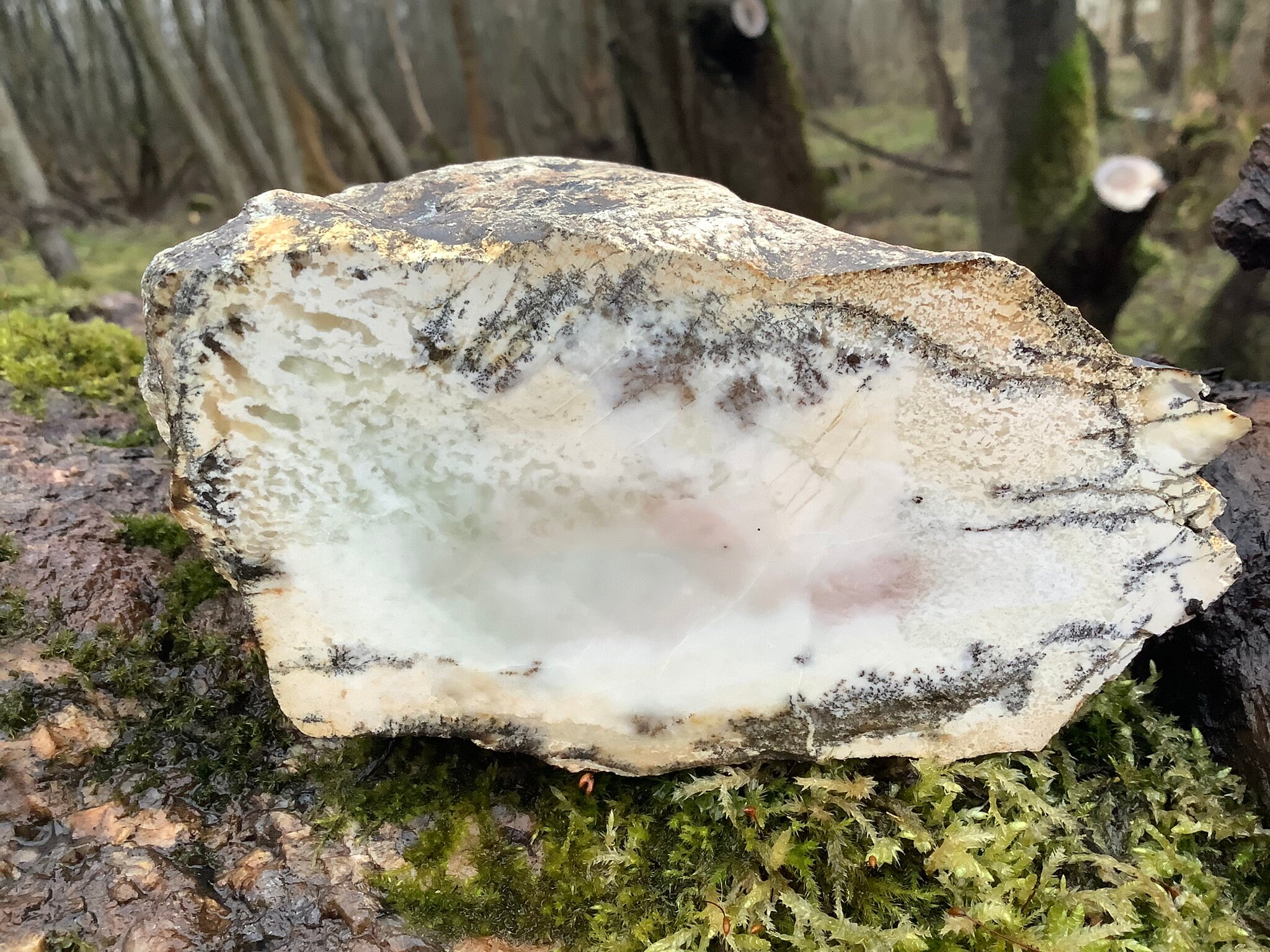 Dendritic White and Light Green Jade With Natural Crust and