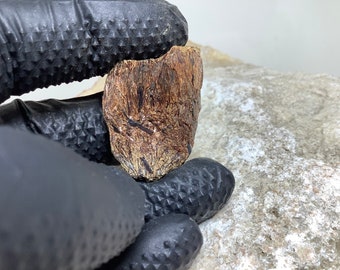 Könnte beinhalten: Nahaufnahme eines Stückes dunkelbraunen Holzes mit einer rauen, strukturierten Oberfläche. Das Holz hat eine natürliche Maserung und wirkt gealtert.