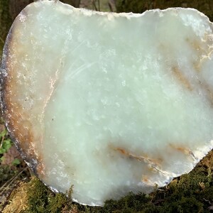 Peut inclure: Une pierre polie de forme irrégulière, aux tons vert pâle et brun. La surface est lisse avec des variations naturelles de couleur et de texture. Les bords sont rugueux, et il semble s'agir d'un spécimen minéral naturel.