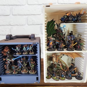 Miniature Carrying/Display Case 2024 (3D Printed)