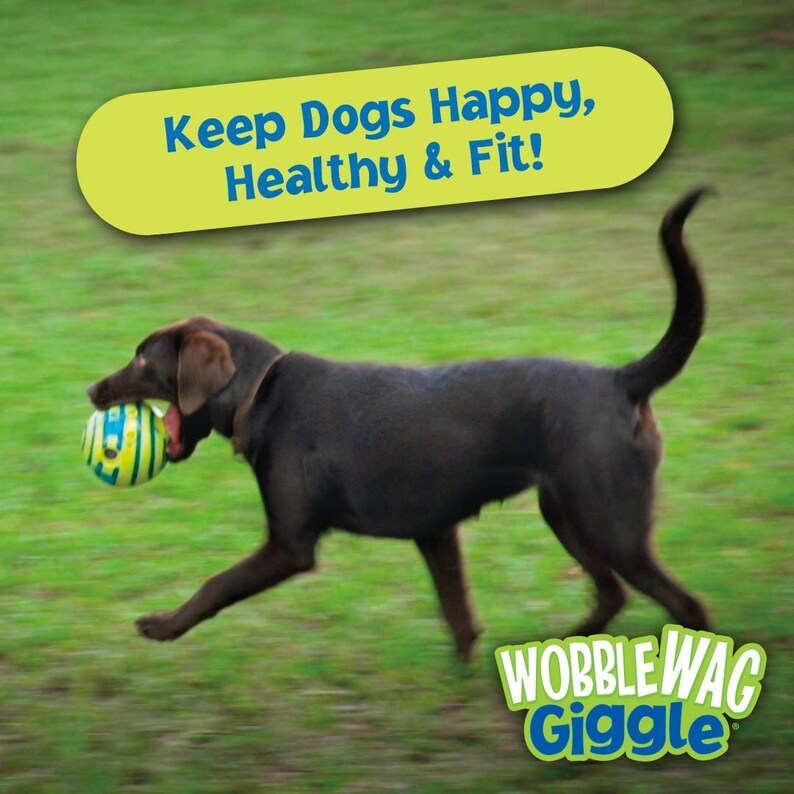 giggle dog