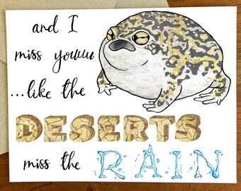 desert rain frog plush