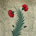 Cihan Ilter