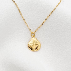 Shell Necklace, Tiny Shell Gold Filled Necklace