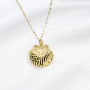 May include: A gold chain necklace with a seashell pendant. The seashell is detailed and has a textured surface.