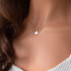 925 Sterling Silver Shell Necklace, Tiny Shell Necklace image 4