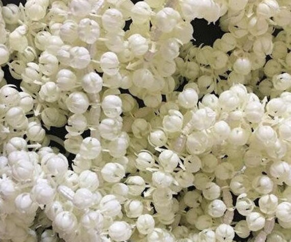 White Mogra 10 Pieces Indian Artificial Marigold Garlands 5 Etsy