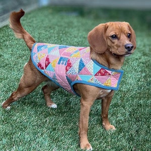 May include: A brown dog wearing a patchwork dog jacket with a blue trim, standing on green grass. The jacket has a quilted design with various colorful fabric patches. Text at the top reads "PATCHWORK POOCH" and "PERSONALISED PATCHWORK DOG JACKET".