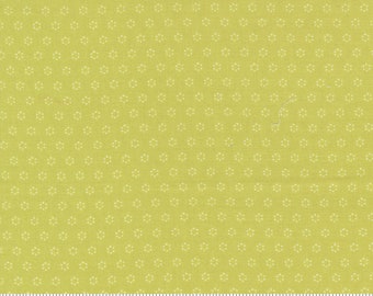 Moda Pumpkin Blossoms Sprout Polka Dot (20428 14) 1/2 Yard Increments
