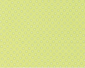 Moda Sunwashed Pomegranate Light Lime (29166 34) 1/2-YD Increments