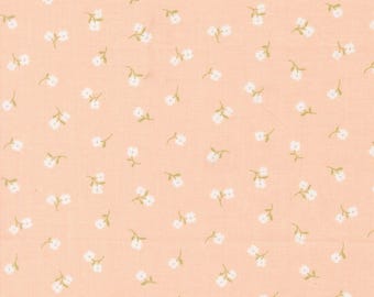 Moda Pastel Prairie Tinys Petal (31785 18) 1/2-YD Increments
