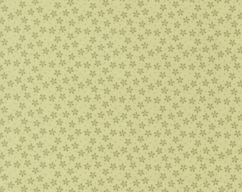 Moda Pastel Prairie Colander Pear (31783 14) 1/2-YD Increments