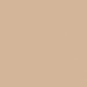 Riley Blake Designs Teadye Solid*C120-TEADYE*1/2 Yard Increments*Tan Solid Fabric*Light Brown Solid*Tan Fabric*Teadye Solid*Tan Solid Fabric