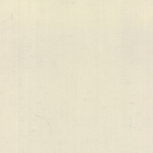 May include: A plain white background with a subtle texture.