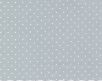 Moda Twinkle Fog (24106 52) 1/2-YD Increments