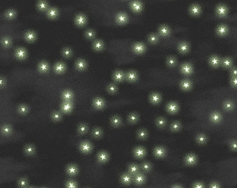 Studio E Paranormal Parade Stars (8322-99 Black) 1/2-YD Increments