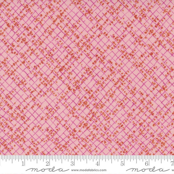 Moda Wild Blossoms Blotted Graph Paper Princess (48737 21) 1/2-Yard Increments*Wild Blossoms Fabric*Spring Fabric*Spring Floral Fabric*Plaid